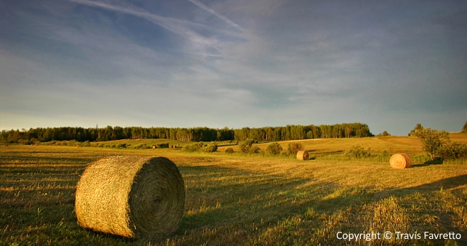 Fields in Plummer Additional, Photo by Travis Favretto